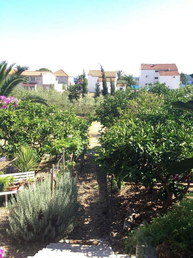 Apartments By The Sea Orebic, Peljesac - 11450 Exterior foto